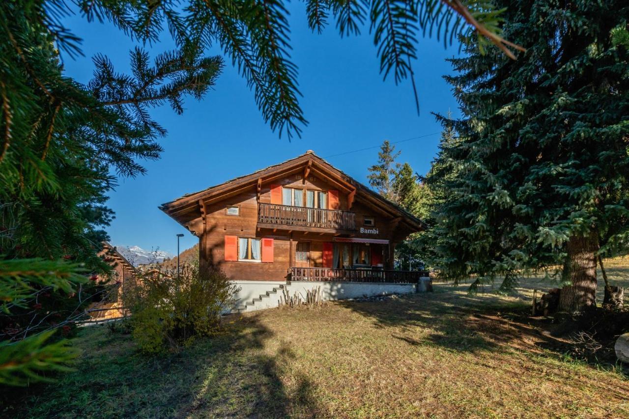 Chalet Bambi "Marchenhaft" Apartment Grachen Bagian luar foto